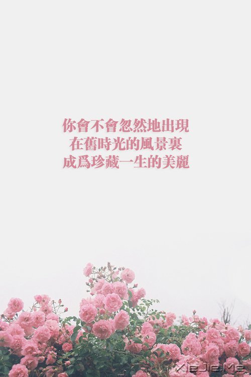 你的手机壁纸需要被治愈了