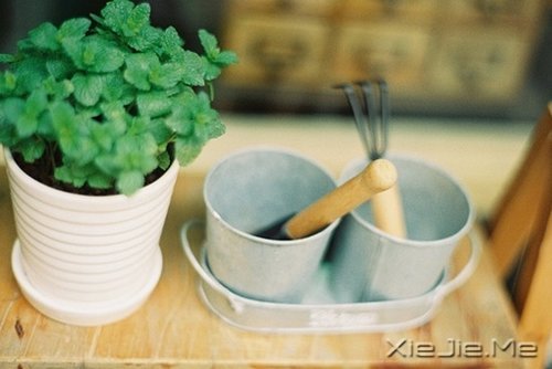 浮生若梦,浮尘如空 (5)