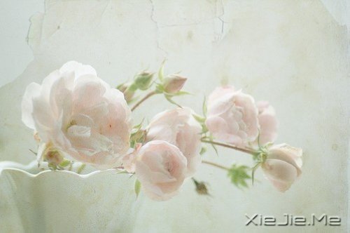 只要你在走,总会看到进步 (8)