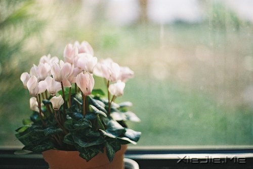 要看清自己,不要看轻自己 (4)