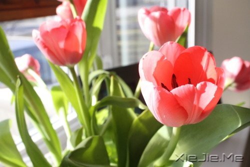 ����˥�ϵĲ������գ����ǲ��ҽ�ȡ���� (6)