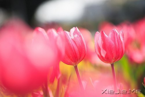 一个人怕孤独,两个人怕辜负 (4)