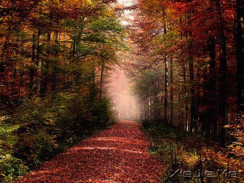 �������һ���˺��¹¶��������˺��¹��� (10)