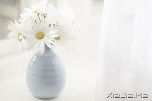 晚安心语:青春带着疼痛,却又义无反顾 (3)