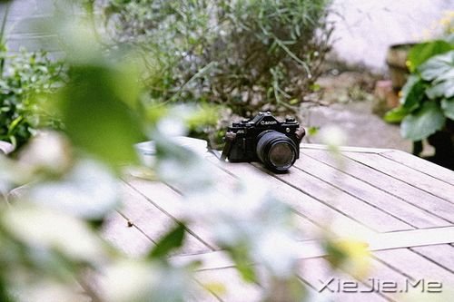 晚安心语:独走的路,是最美的风景 (6)