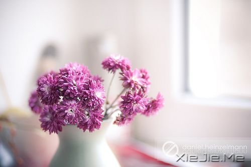 晚安心语:带上最美的笑容且行且珍惜 (2)