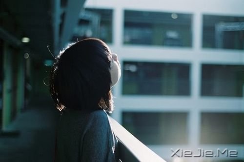 半个人,不需要两个人的阳光 (5)